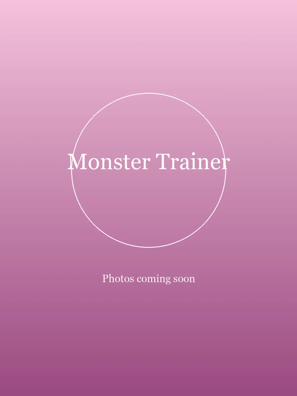 Monster Trainer party character