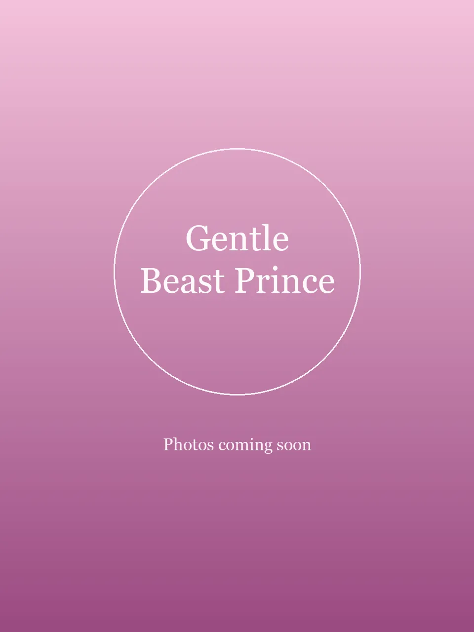 Gentle Beast Prince party character