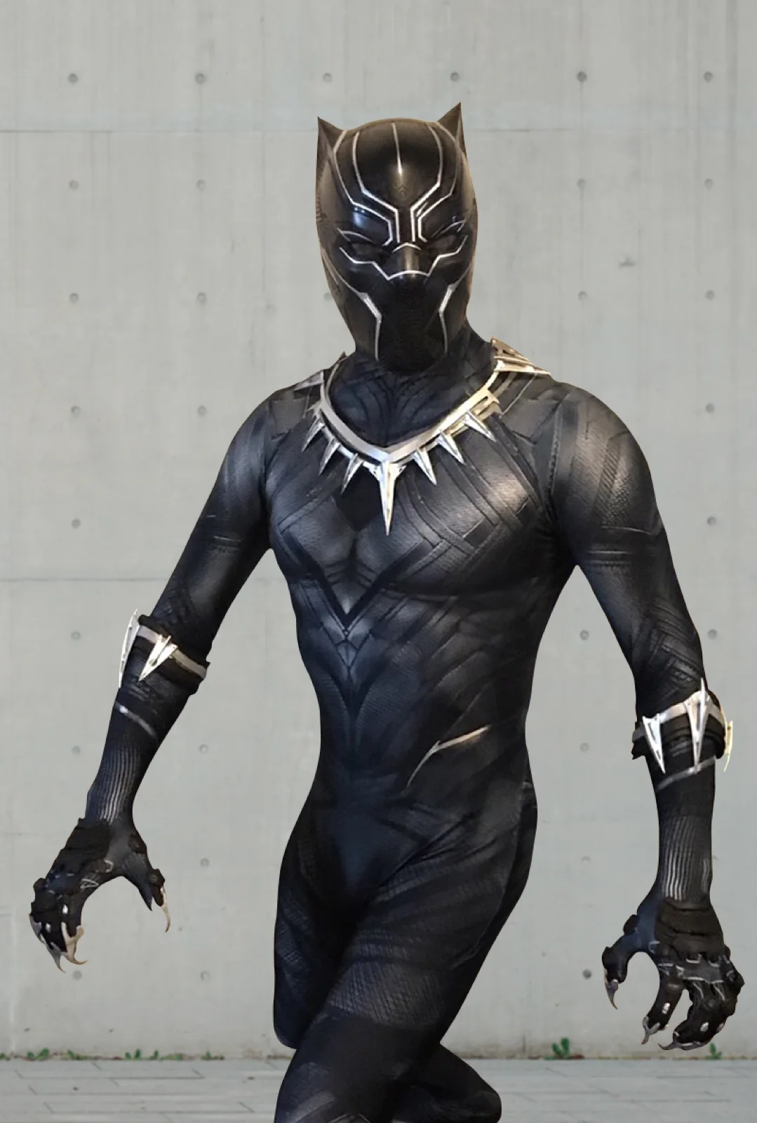 Panther Hero party character
