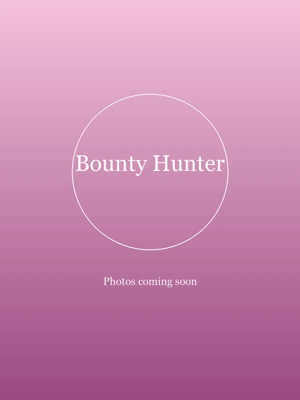 Bounty Hunter party character