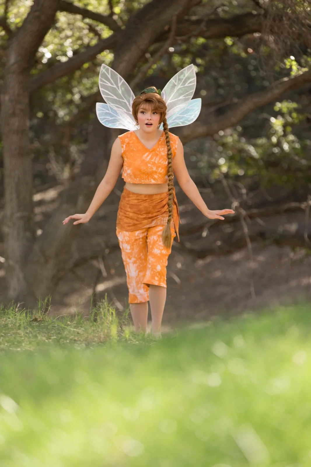 Orange Fairy party character