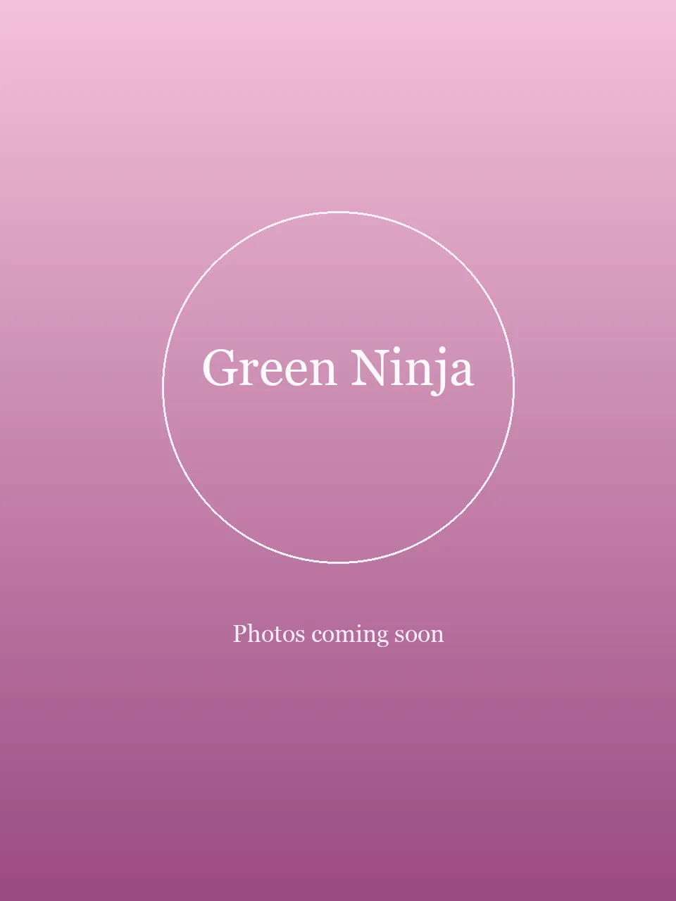 Green Ninja party character
