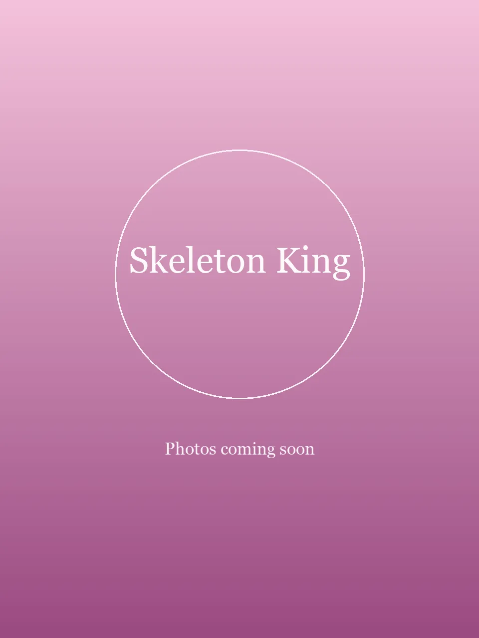 Skeleton King party character