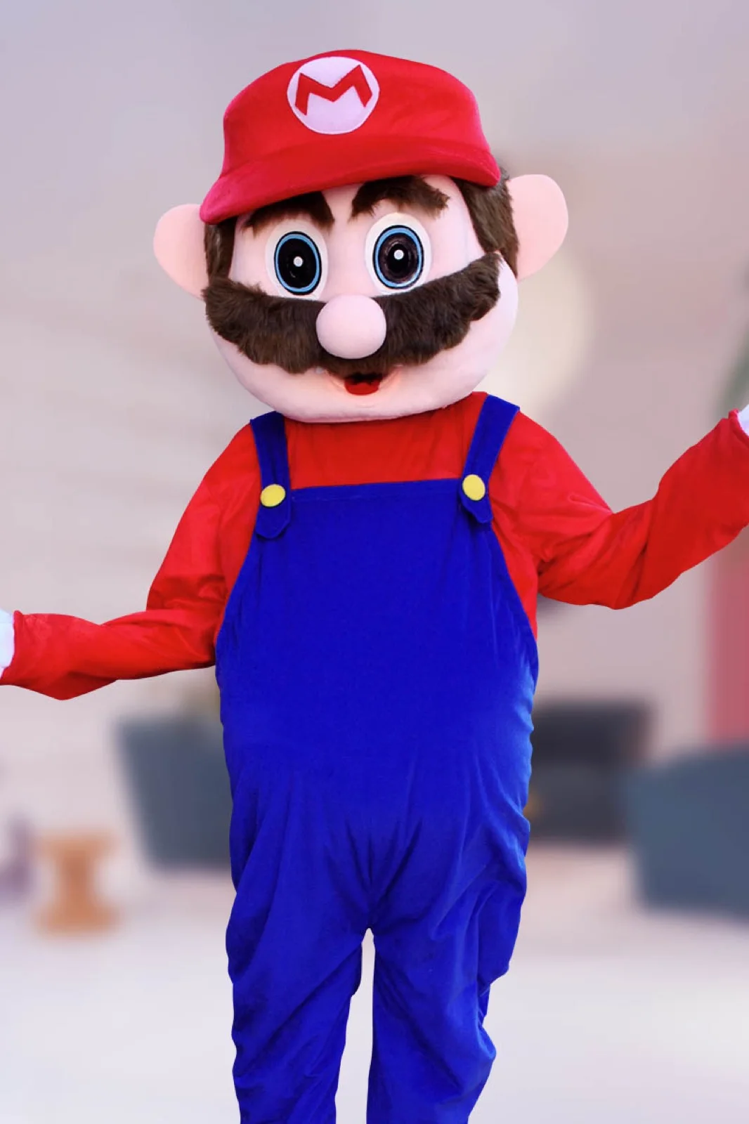 Red Brother party character