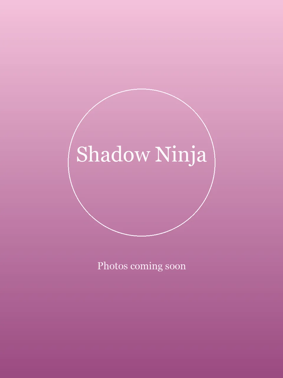 Shadow Ninja party character