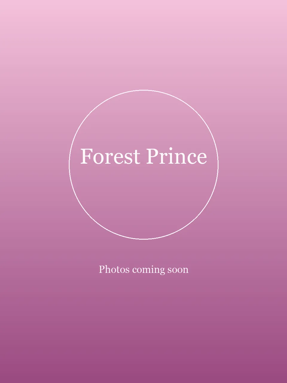 Forest Prince party character