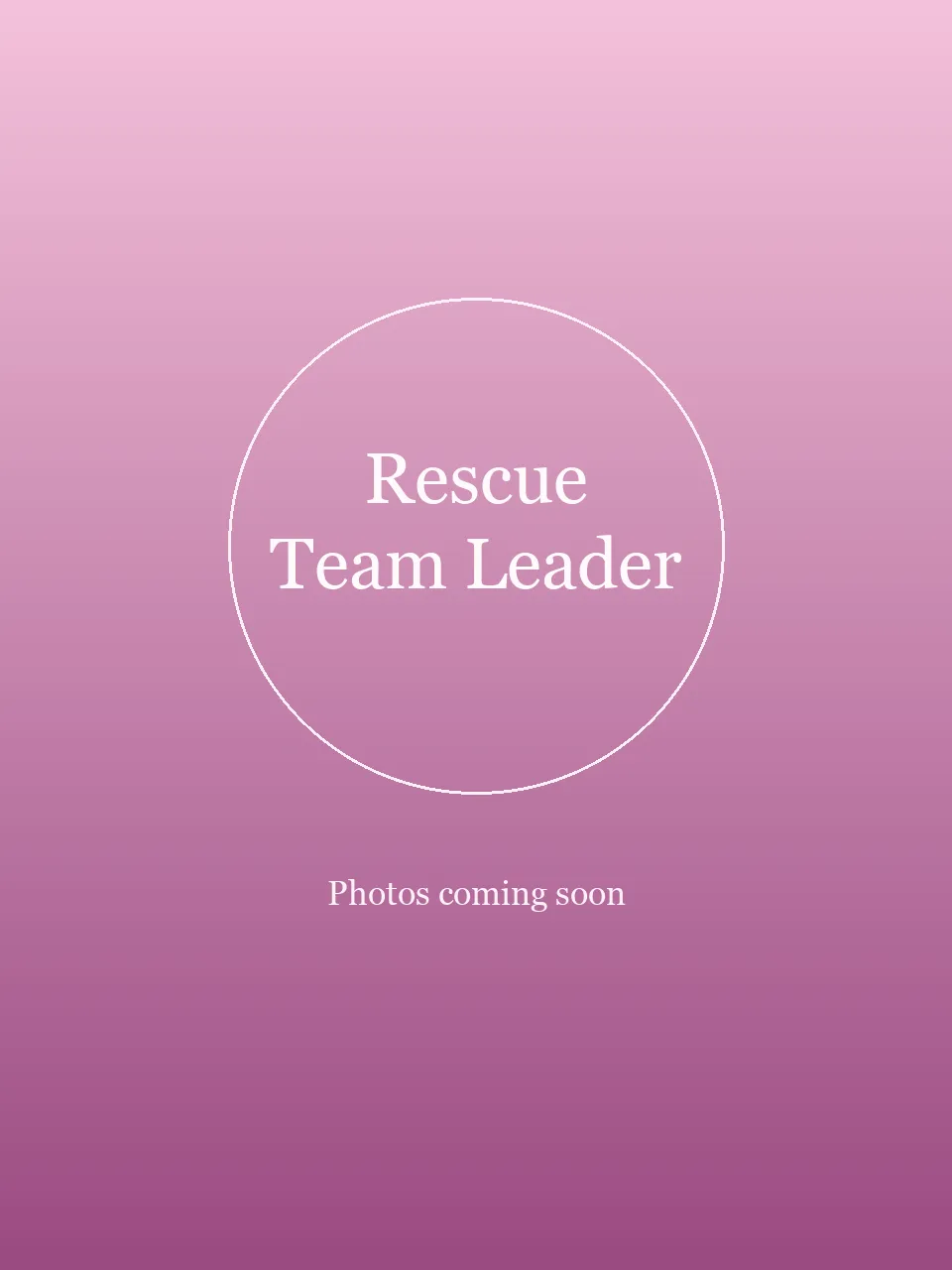 Rescue Team Leader party character photo 1