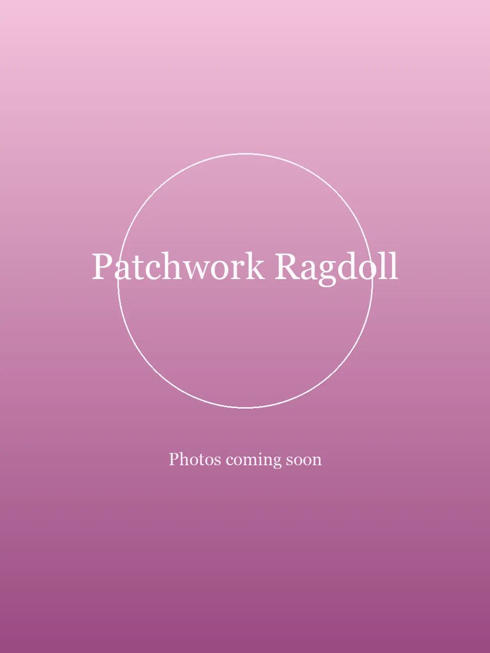 Patchwork Ragdoll party character