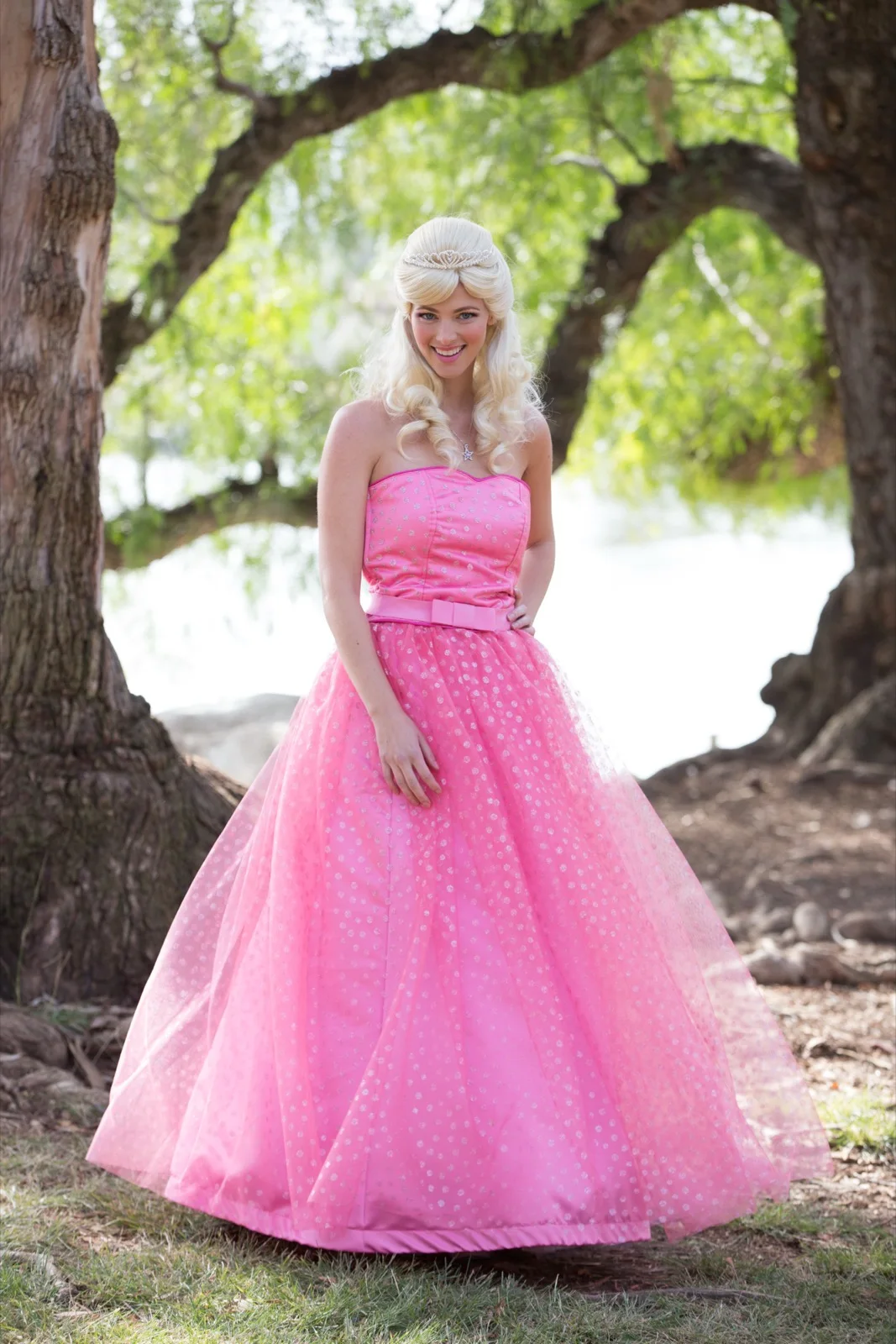 Pink Princess party character